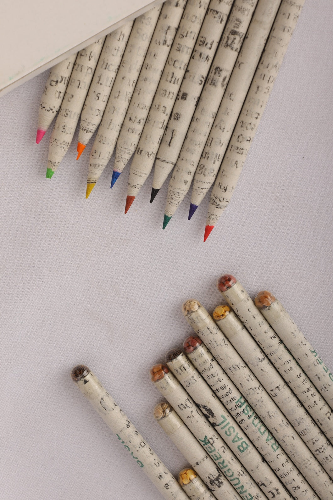 BloomHue Plantable Colour Lead Newspaper Pencils - Pack of 10