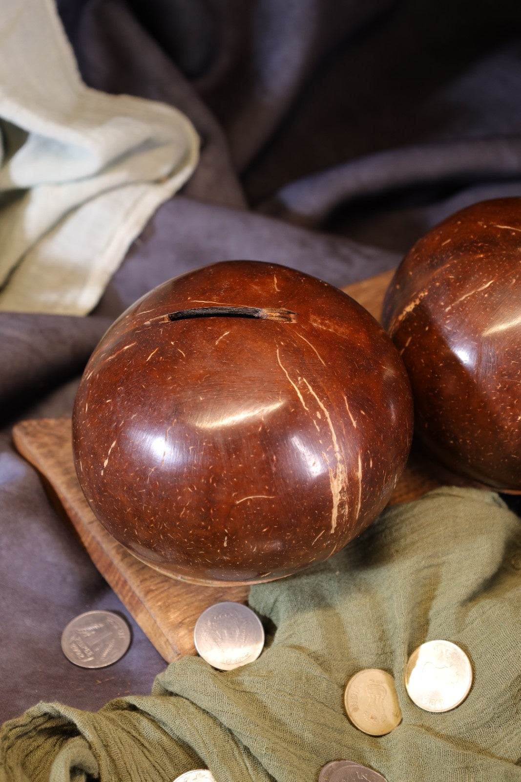 NatureSave Piggy Bank