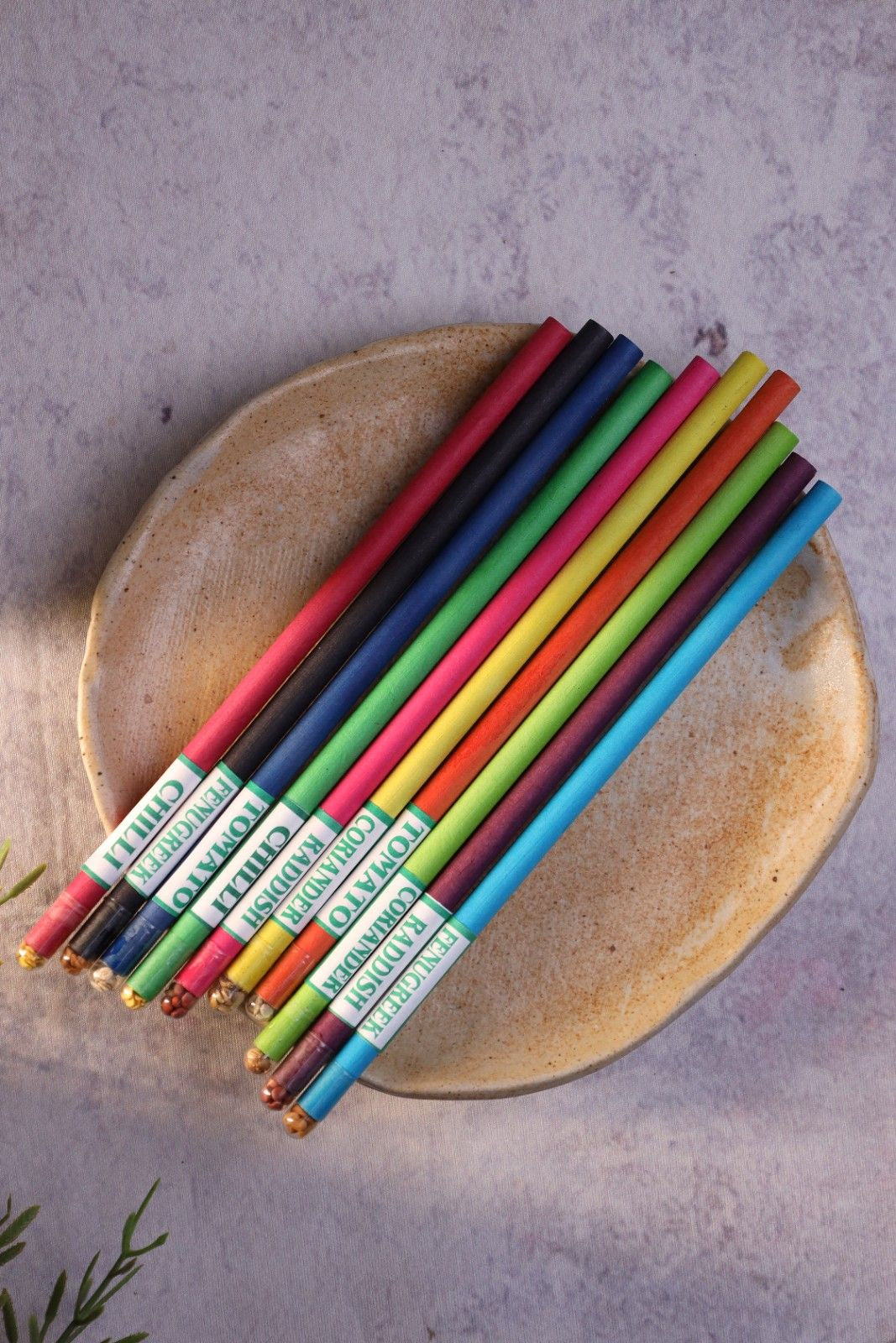 EcoGrow Black Lead Colour Paper Pencils - Pack of 10